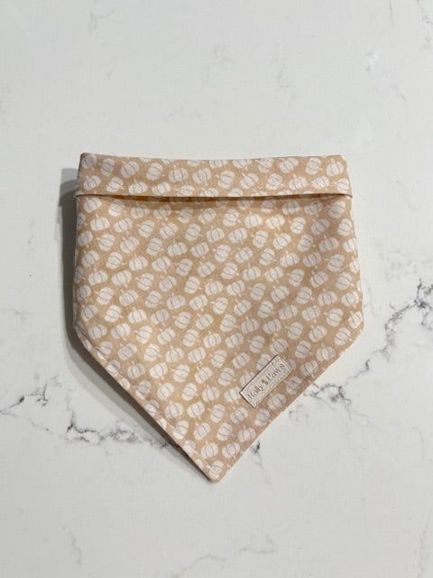 Dog bandana with mini white pumpkins on a Orange tan background