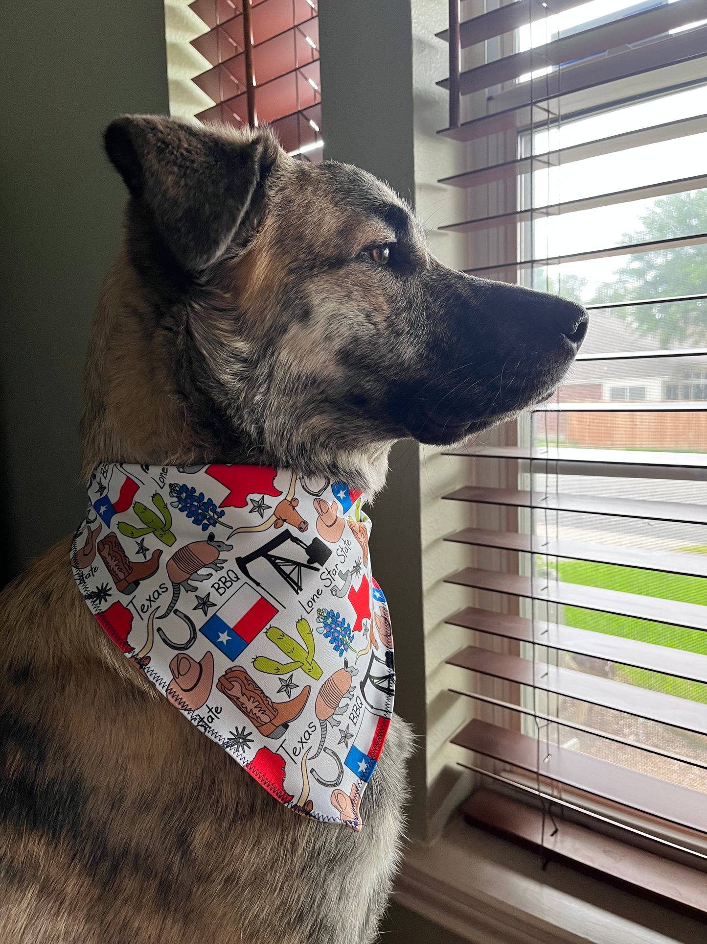 “Deep in the Heart of Texas" Dog Bandana (Moisture-wicking)