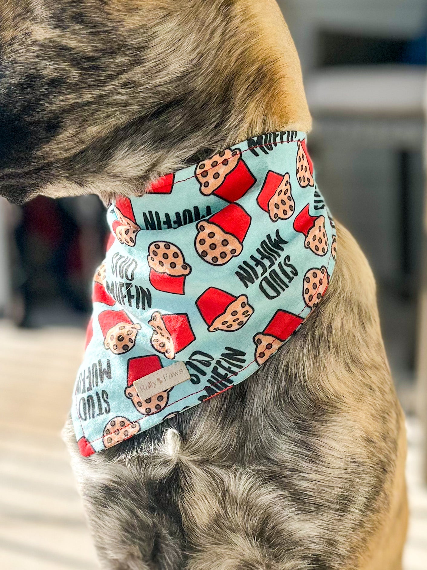 brindle color dog wearing stud muffin dog bandana