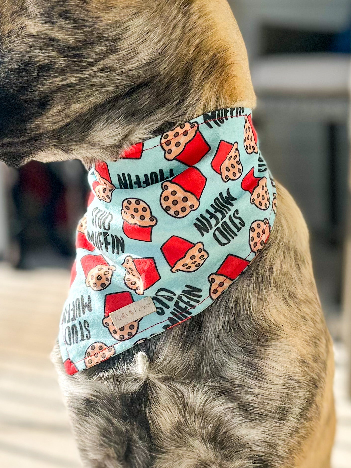 side view of brindle color dog wearing stud muffin dog bandana