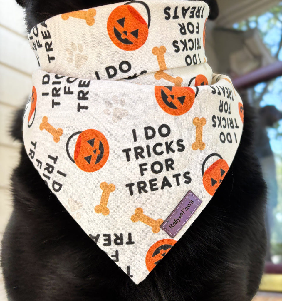 halloween pumkin dog bandana cute
