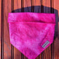 Hot pink dog bandana 