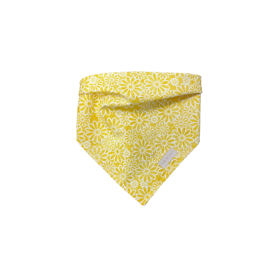 Yellow daisies dog bandana
