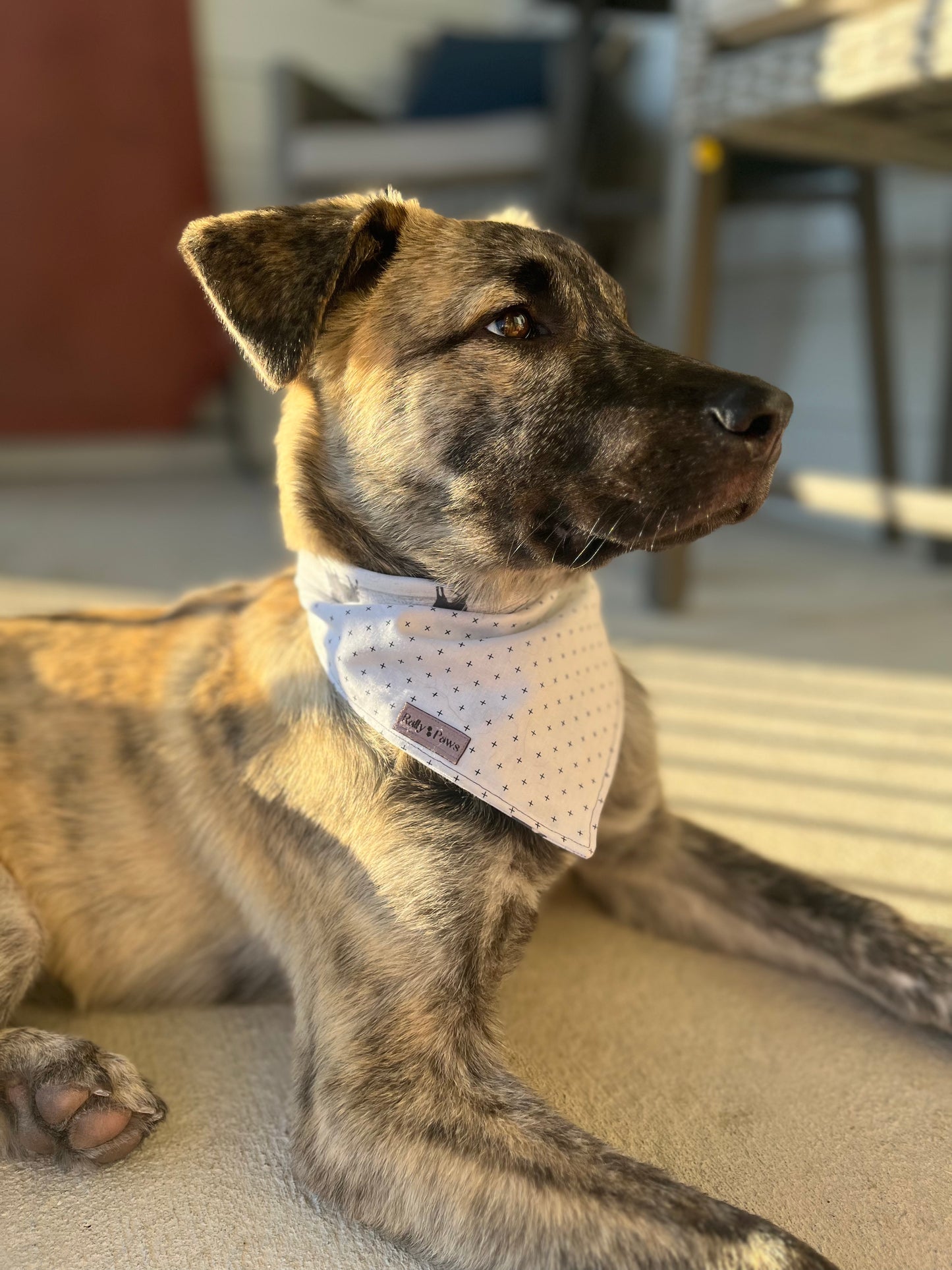 "The Northerner" (reversible) Dog Bandana