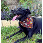 Black dog wearing brown Thanksgiving dog bandana 
