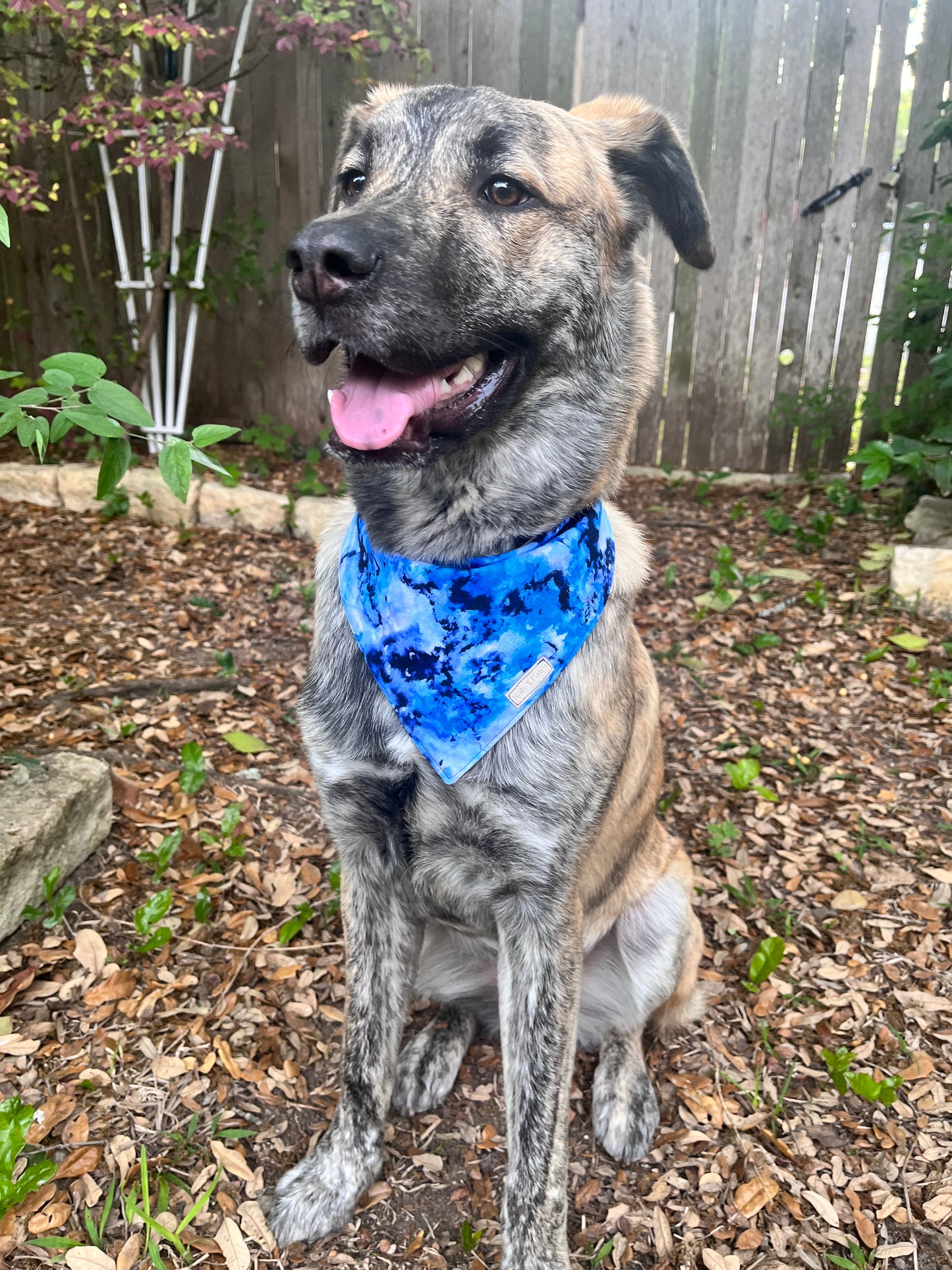 “Blue Watercolor” Dog Bandana